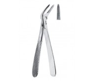 Extracting Forceps